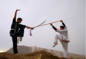 Martial Arts Gurus