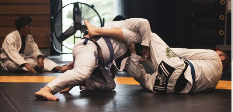 physical mastery in martial arts