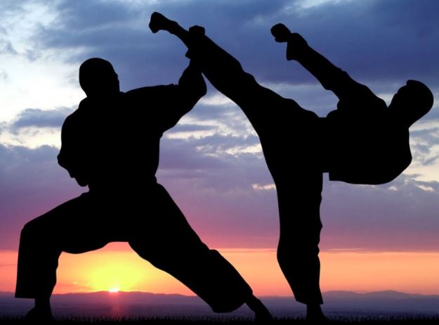 The Mental Benefits of Martial Arts Training